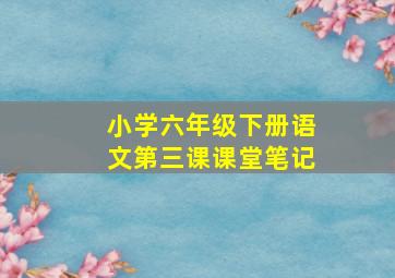 小学六年级下册语文第三课课堂笔记