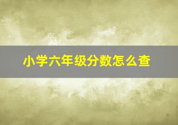 小学六年级分数怎么查