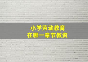 小学劳动教育在哪一章节教资