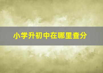 小学升初中在哪里查分