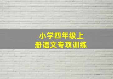 小学四年级上册语文专项训练