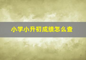 小学小升初成绩怎么查