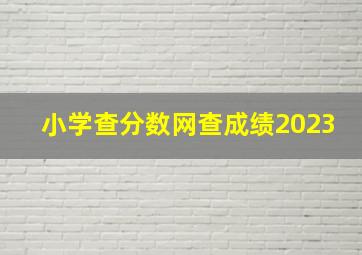 小学查分数网查成绩2023