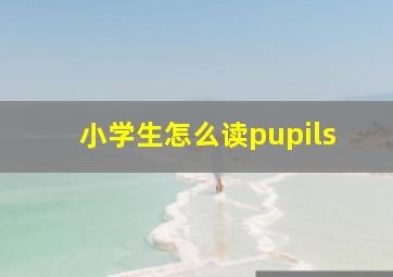 小学生怎么读pupils