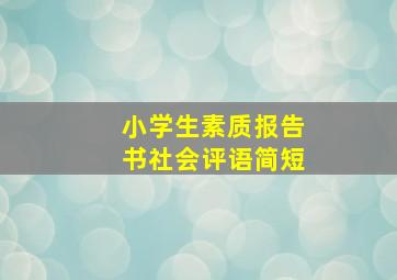 小学生素质报告书社会评语简短