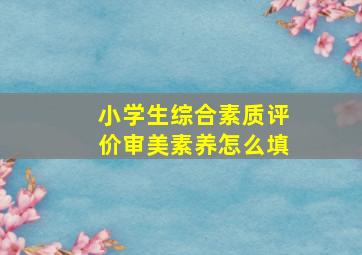 小学生综合素质评价审美素养怎么填