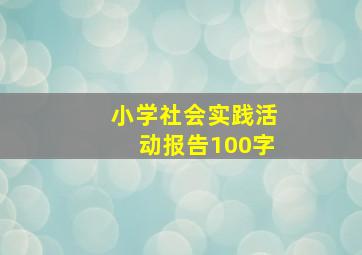 小学社会实践活动报告100字