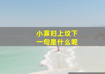 小寡妇上坟下一句是什么呢