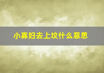 小寡妇去上坟什么意思