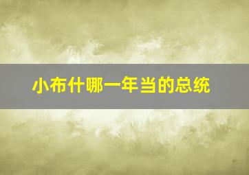 小布什哪一年当的总统