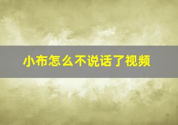 小布怎么不说话了视频