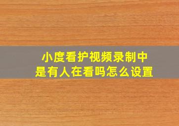 小度看护视频录制中是有人在看吗怎么设置