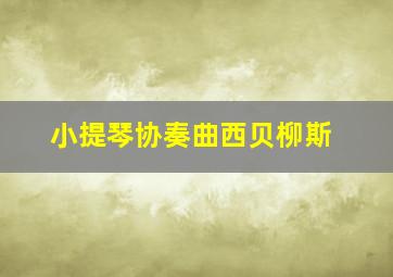 小提琴协奏曲西贝柳斯