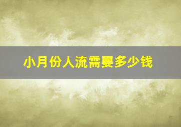 小月份人流需要多少钱