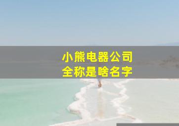 小熊电器公司全称是啥名字