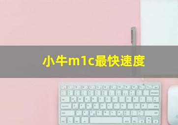 小牛m1c最快速度