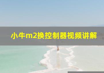 小牛m2换控制器视频讲解