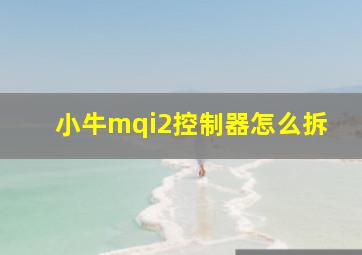 小牛mqi2控制器怎么拆