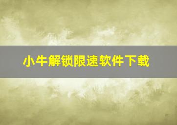 小牛解锁限速软件下载