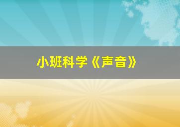 小班科学《声音》