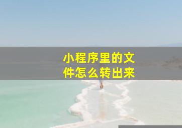 小程序里的文件怎么转出来