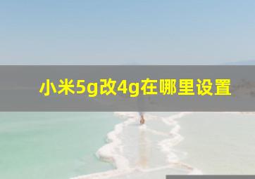 小米5g改4g在哪里设置