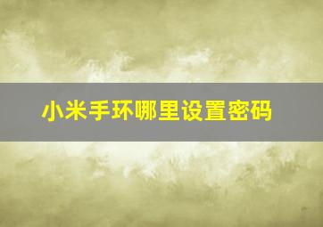 小米手环哪里设置密码