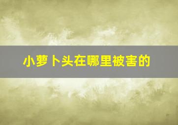 小萝卜头在哪里被害的