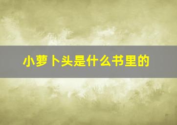 小萝卜头是什么书里的