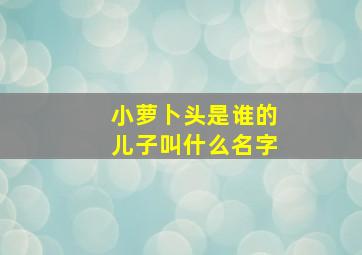 小萝卜头是谁的儿子叫什么名字