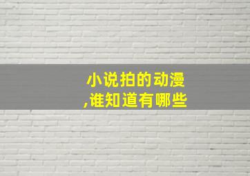 小说拍的动漫,谁知道有哪些