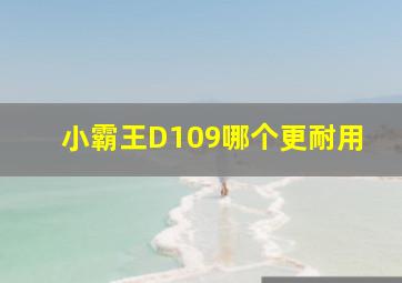 小霸王D109哪个更耐用