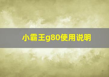 小霸王g80使用说明