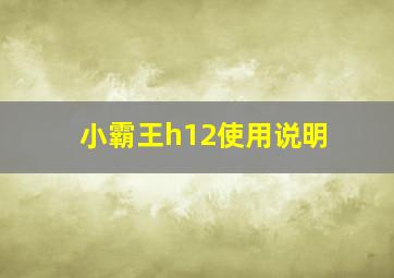 小霸王h12使用说明