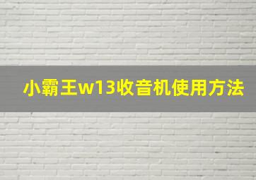 小霸王w13收音机使用方法