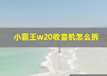 小霸王w20收音机怎么拆