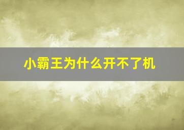 小霸王为什么开不了机