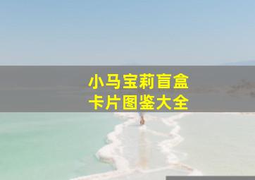 小马宝莉盲盒卡片图鉴大全