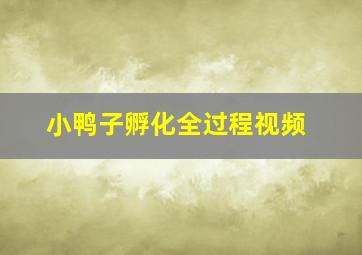 小鸭子孵化全过程视频