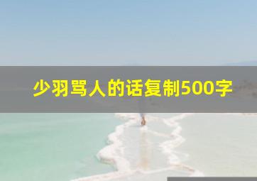 少羽骂人的话复制500字