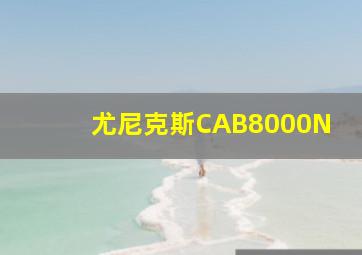 尤尼克斯CAB8000N