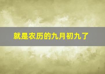 就是农历的九月初九了