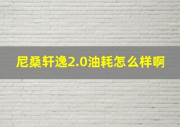 尼桑轩逸2.0油耗怎么样啊