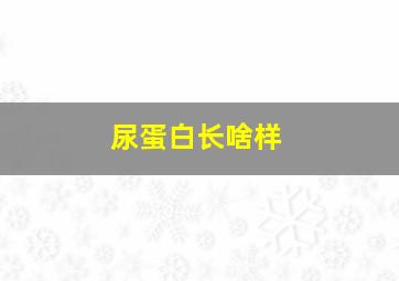 尿蛋白长啥样