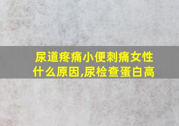 尿道疼痛小便刺痛女性什么原因,尿检查蛋白高