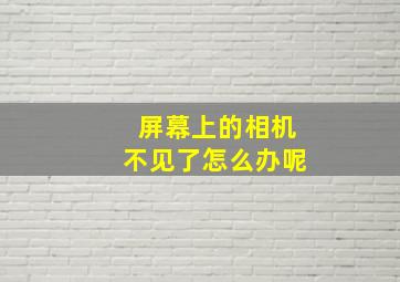 屏幕上的相机不见了怎么办呢