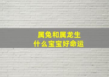 属兔和属龙生什么宝宝好命运