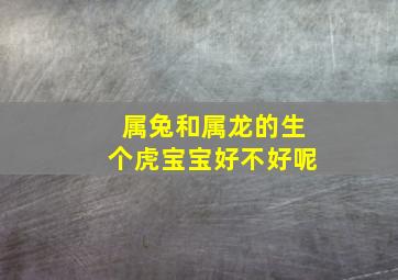 属兔和属龙的生个虎宝宝好不好呢