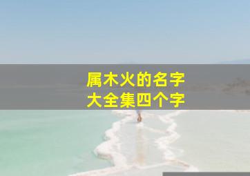 属木火的名字大全集四个字