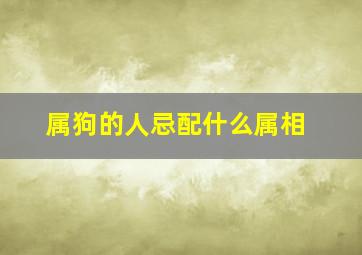 属狗的人忌配什么属相